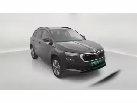 Škoda Karoq 2.0 TDI 116 Business