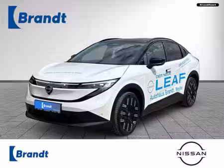 Nissan Leaf 217
