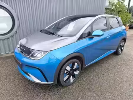 BYD Dolphin 204