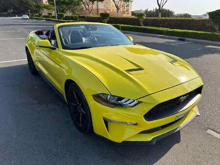 Ford Mustang Fastback 2.3 317