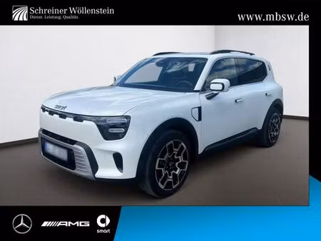 Smart #5 363 Pulse 4x4