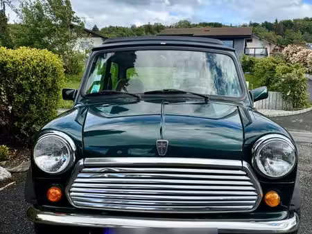 Rover Mini 1.3 53
