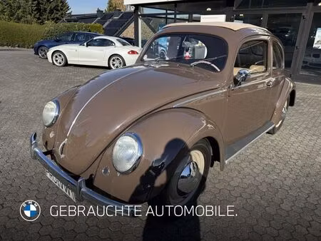 Volkswagen Beetle 