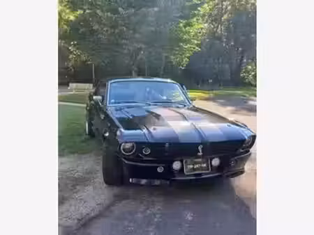 Ford Mustang V8 5.0