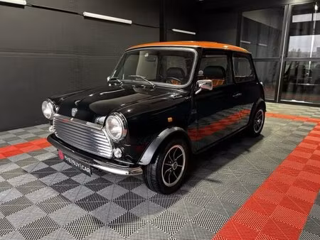 Rover Mini 1.3