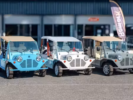 Mini Mini One