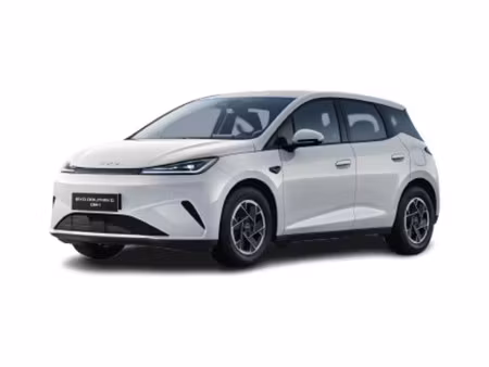 BYD Dolphin 95