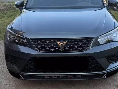 Cupra Ateca 2.0 TSI 300