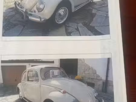 Volkswagen Beetle 
