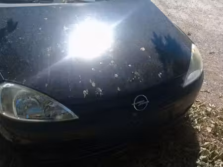 Opel Corsa 1.2 75