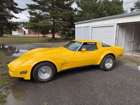 Corvette C3 Targa TOP 