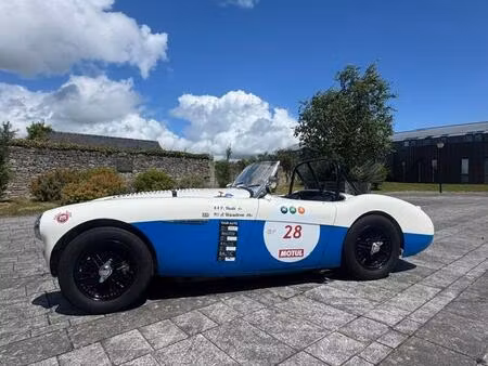 Austin-Healey 100