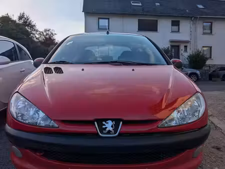 Peugeot 206 1.1 60