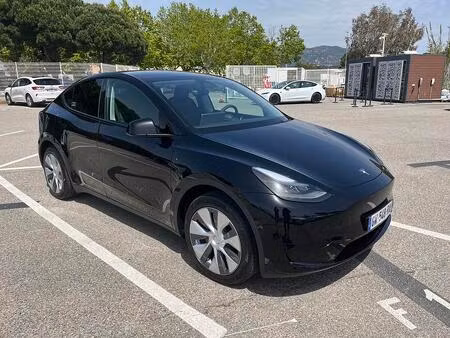 Tesla Model Y Standard 300