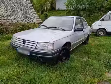 Peugeot 309 