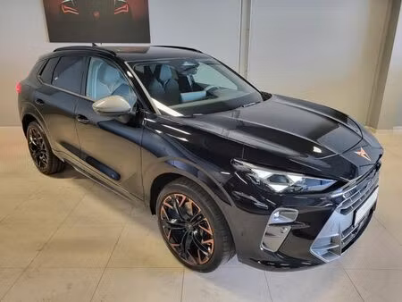 Cupra Terramar 1.5