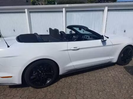 Ford Mustang 2.3 317