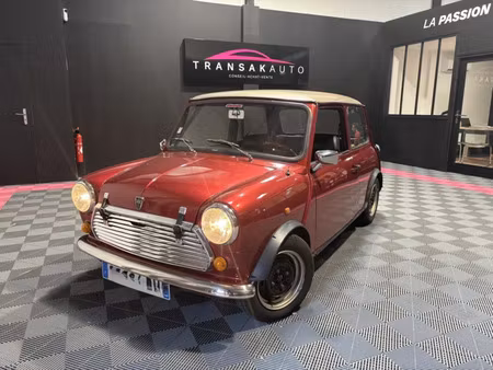 Rover Mini 1.3