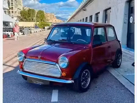 Rover Mini 1.3