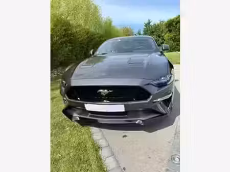 Ford Mustang Fastback V8 5.0