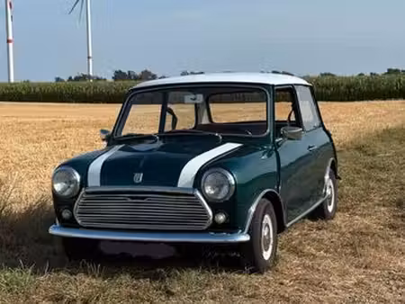 Mini Mini 