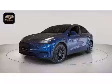 Tesla Model Y Standard 300