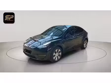 Tesla Model Y Standard 351
