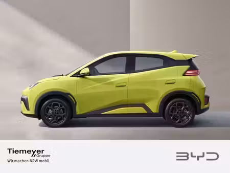 BYD Dolphin 88 Boost