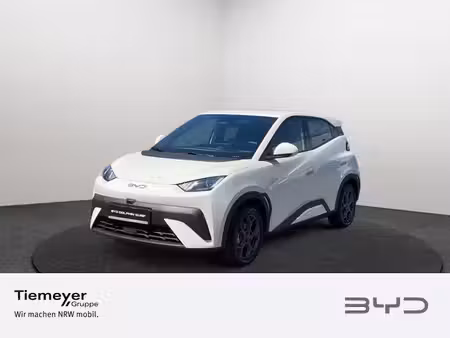BYD Dolphin 88 Boost