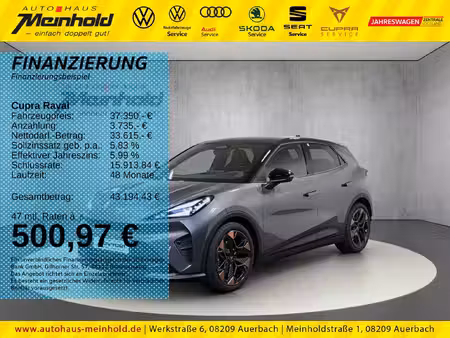 Cupra Raval 211