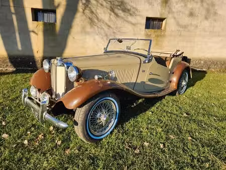 MG Mgtd