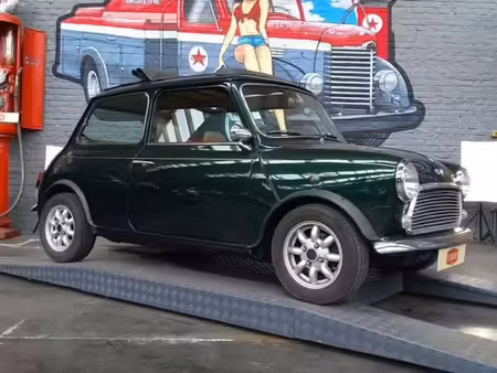 Rover Mini 1.3