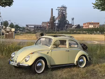 Volkswagen Beetle 