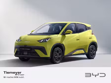 BYD Dolphin 88