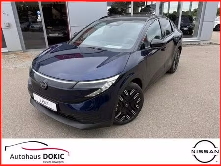 Nissan Leaf 217