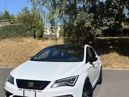 Seat Leon Cupra 290 2.0 TSI 290