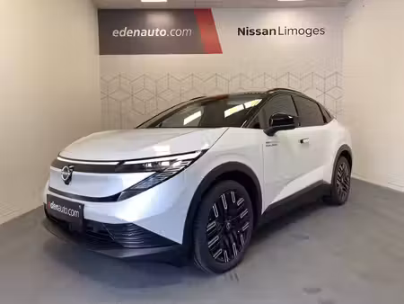 Nissan Leaf 217