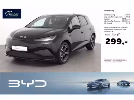 BYD Dolphin 156 Comfort