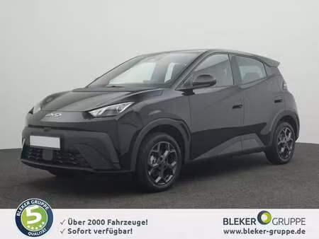 BYD Dolphin 88 Boost