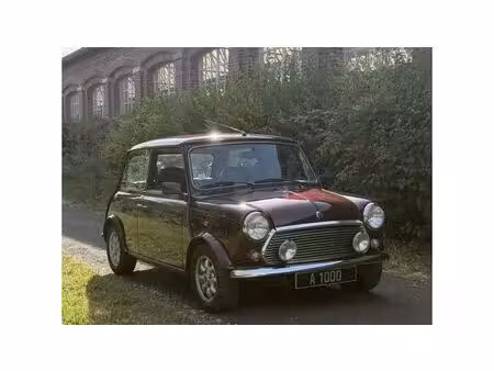 Mini Mini 