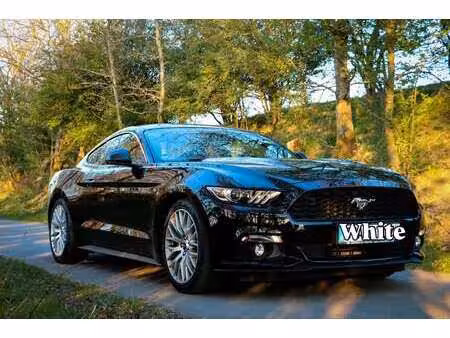 Ford Mustang Fastback 2.3 317