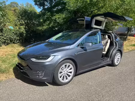 Tesla Model X 100d 422 4x4
