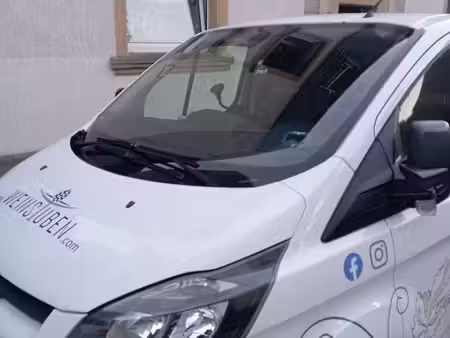 Ford Transit 2.2 TDCi 101 Basis