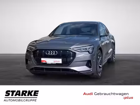 Audi e-tron 313 quattro