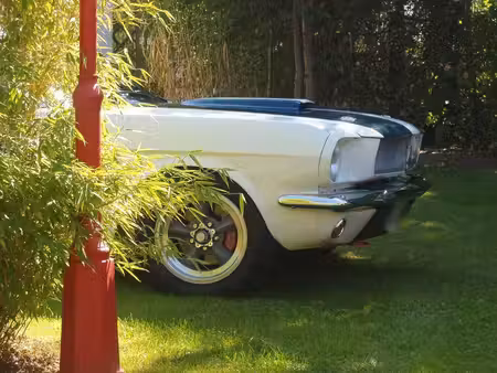 Ford Mustang V8 5.0