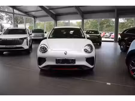 Great Wall Motors ORA 03 