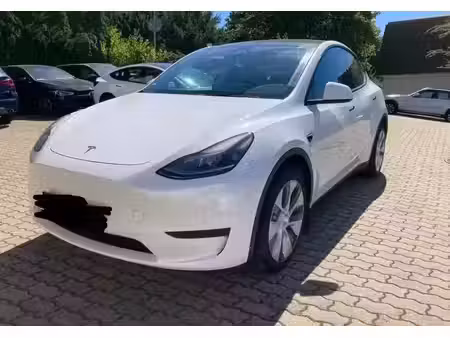 Tesla Model Y Standard 300
