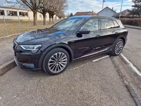 Audi Q8 55 408 Avus Extended quattro