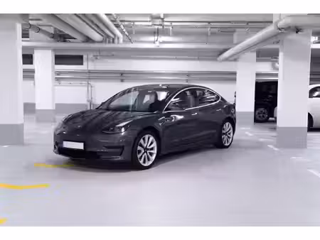 Tesla Model 3 Standard Plus 306