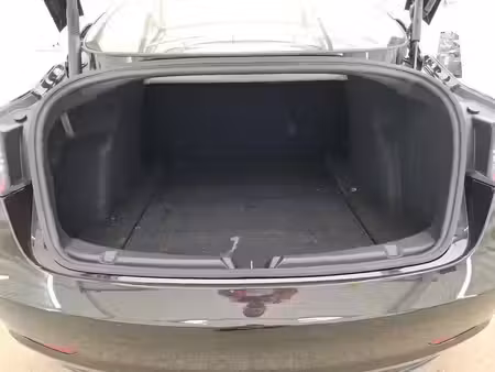 Tesla Model 3 Standard Plus 306